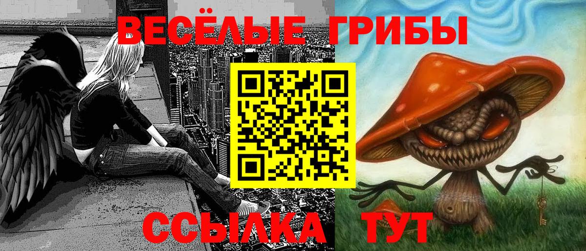 Галлюциногенные грибы мухоморы Донской