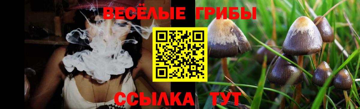 Псилоцибиновые грибы GOLDEN TEACHER  Вход с VPN  Донской 