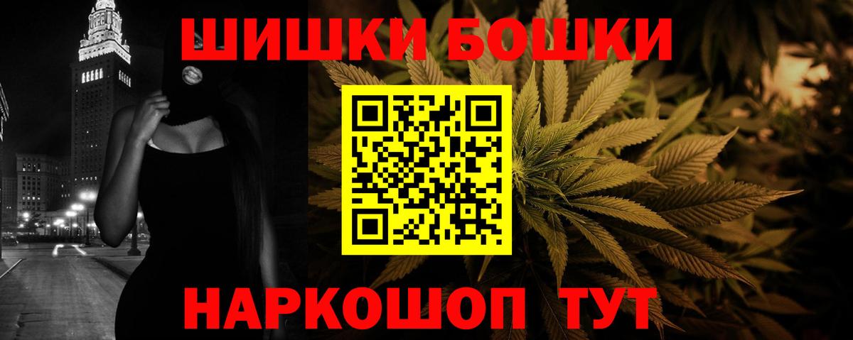 Каннабис сатива  Канабис сатива  Каннабис OG Kush  Донской  Вход с VPN 
